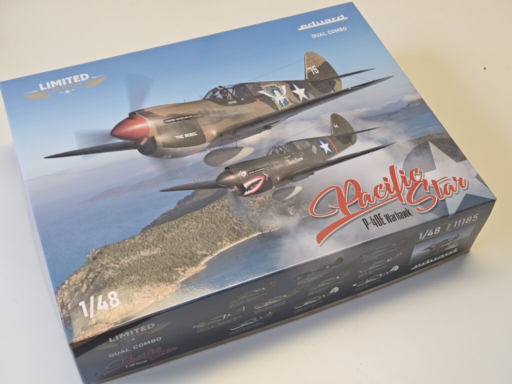 Warhawk P-40E